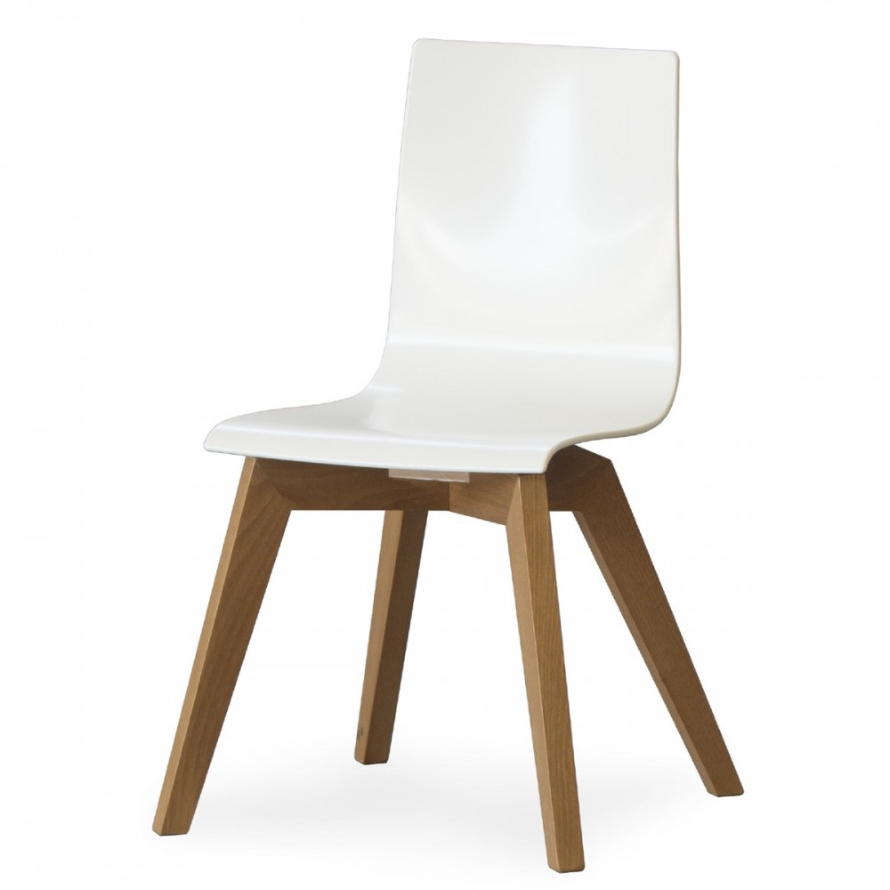 Sedia in plastica e legno Sedia in plastica e legno