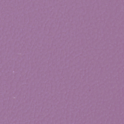 Viola 39