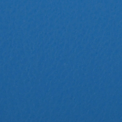 Blu 13