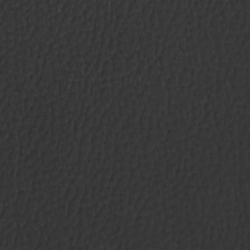 Antracite 11