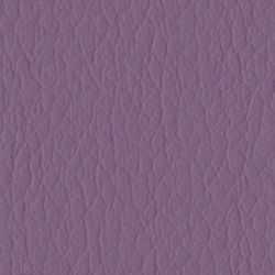 Violetto 43