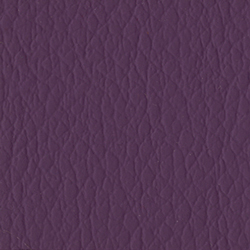 Viola 48