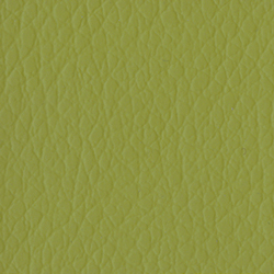 Verde Chiaro 22