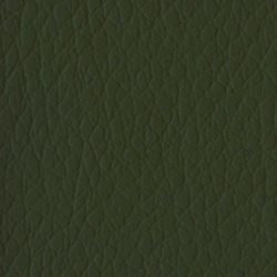 Verde Scuro 24