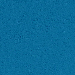 Blu Petrolio 34