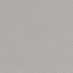 Grigio Chiaro 36
