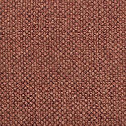 Teja 20